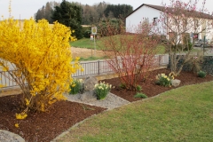 buschgelb-gartenzaun-1000x750