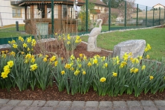 mulchgarten-nelken-schwan-felsen-1000x750